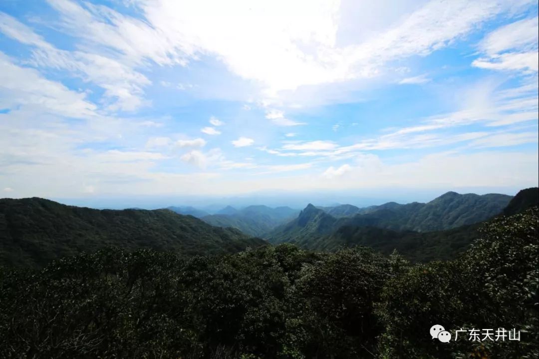 2018中国森林旅游节系列活动之第四届广东天井山"森林生态科普"文化旅