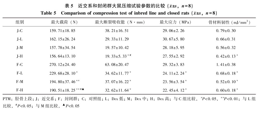 近交系和封闭群wistar大鼠糖皮质激素致骨质疏松造模