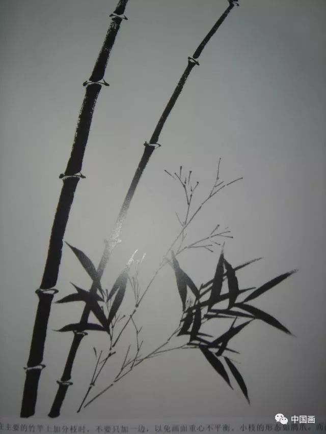 竹子的画法教程 怎么画写意竹子