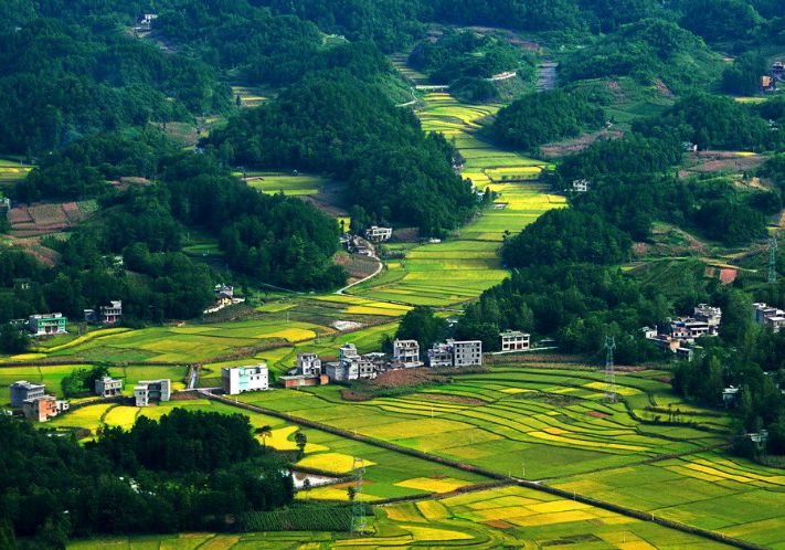 利川总人口数_利川五中图片(2)