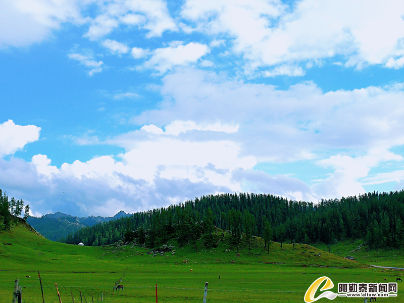 新疆富蕴县萨依恒布拉克夏牧场美丽风景