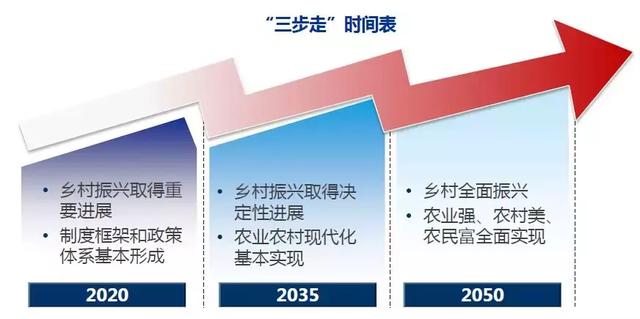 17年12月,中央农村工作会议首次明确了"三步走"时间报表.