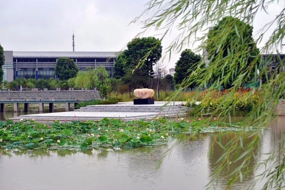 高校专刊上海财经大学浙江学院计划招生2062人新增数据科学与大数据