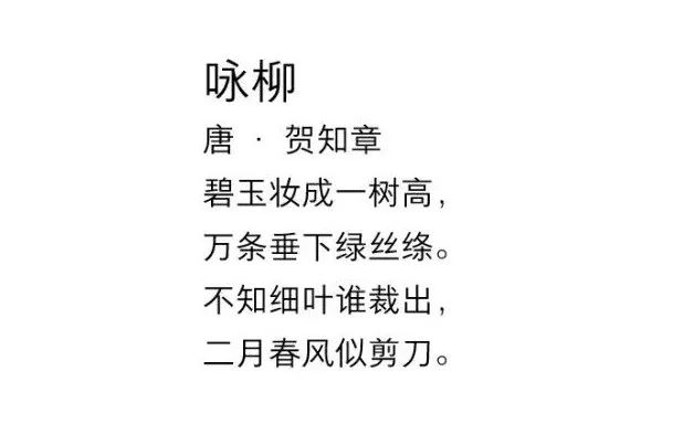 叶问一代宗师简谱_一代宗师叶问(2)