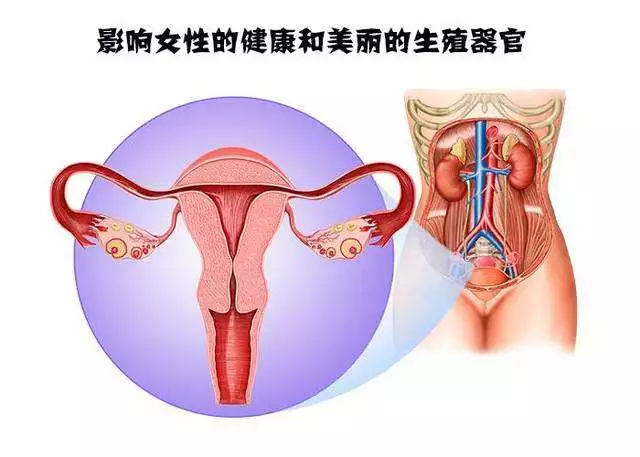 育龄人口萎缩_牙龈萎缩图片(3)