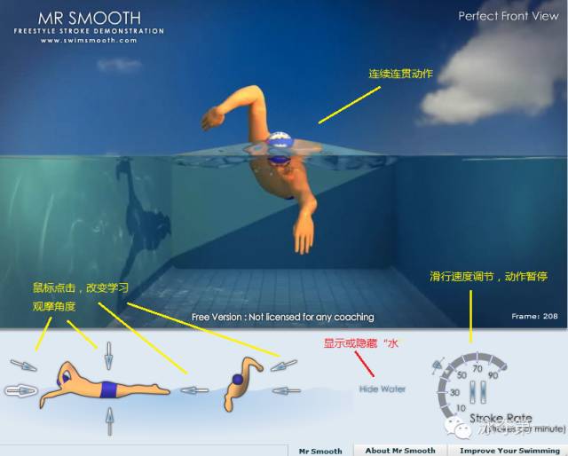 全方位展示自由泳3d视频教学
