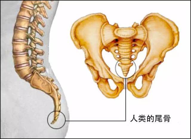 网友:不可妄动