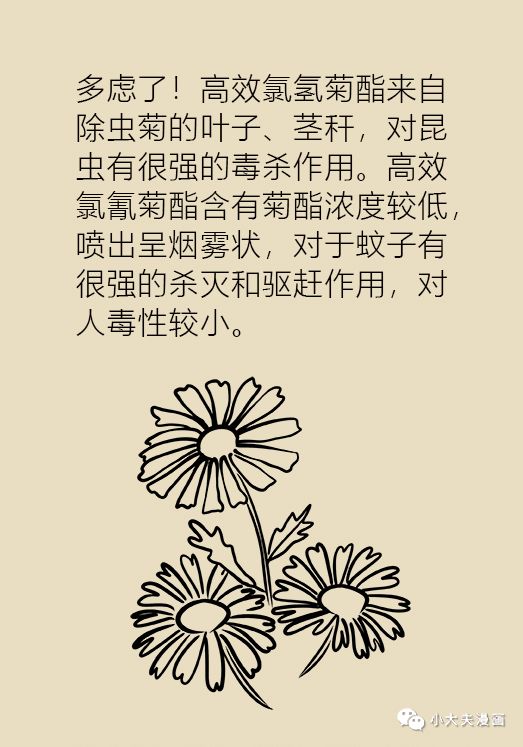 暗算简谱_陈数暗算(2)