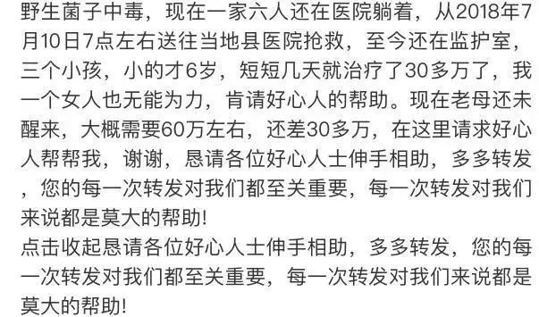 捡菌子简谱_捡菌子图片大全(2)