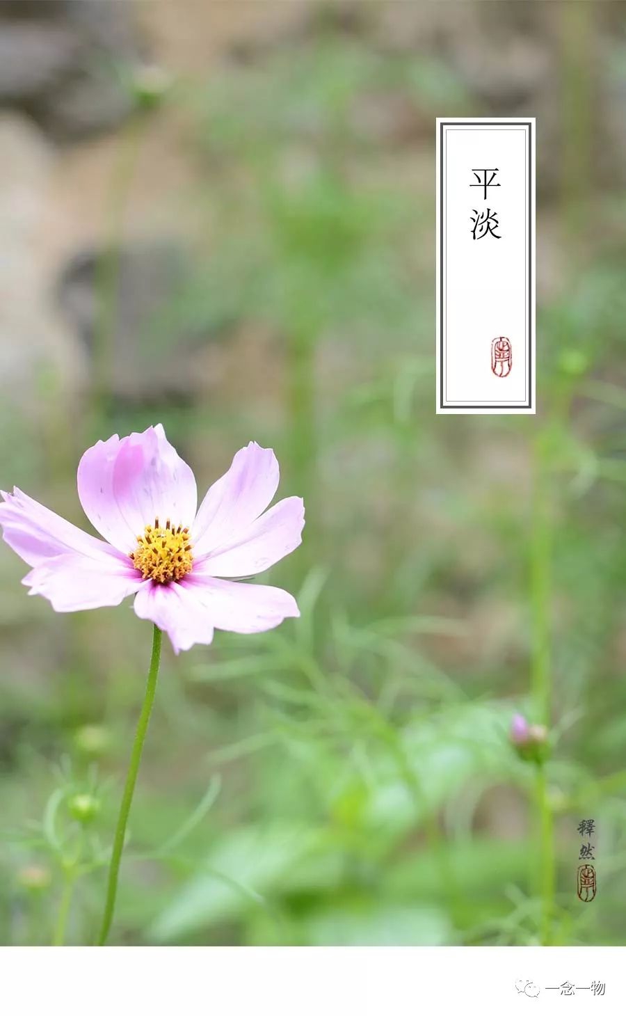 平淡| 恬淡无思虑 虚无任自然