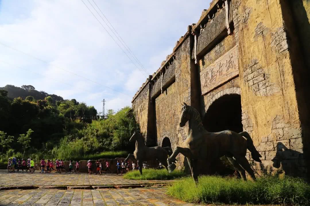 奔跑茶马古城,世界茶源之乡普洱迎来秘境百马