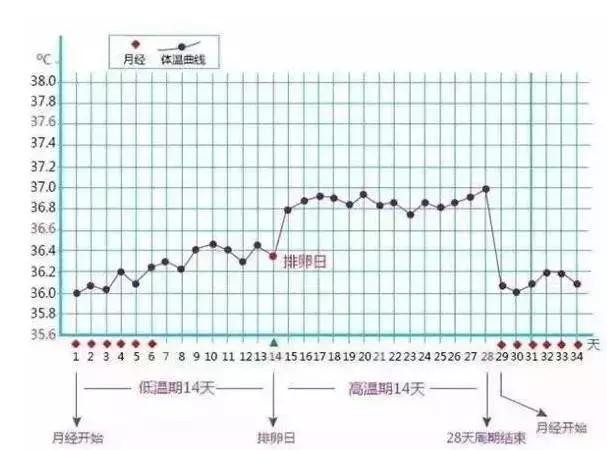 发烧体温上升是什么原理_发烧体温图片(3)