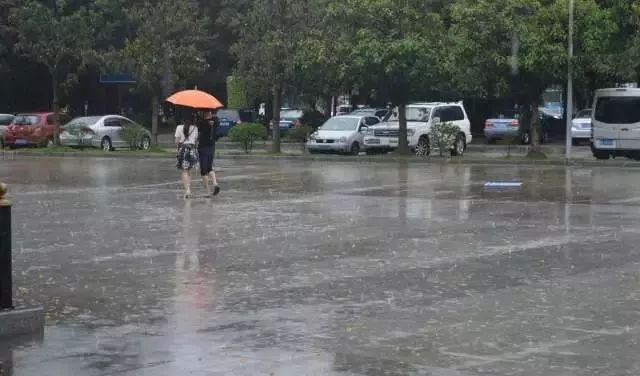 雨天行车视线看不清?这份出行安全指南请查收!