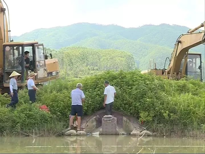 我县依法对埔寨镇境内一无主坟墓进行强制搬迁