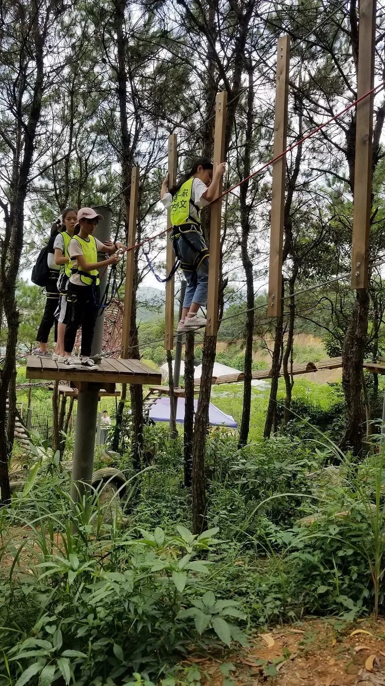 智慧少年夏令营第四天穿越丛林探险记