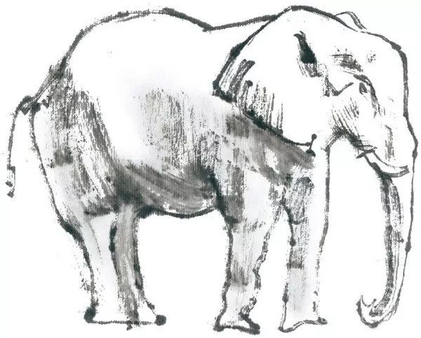 国画大象的绘画步骤