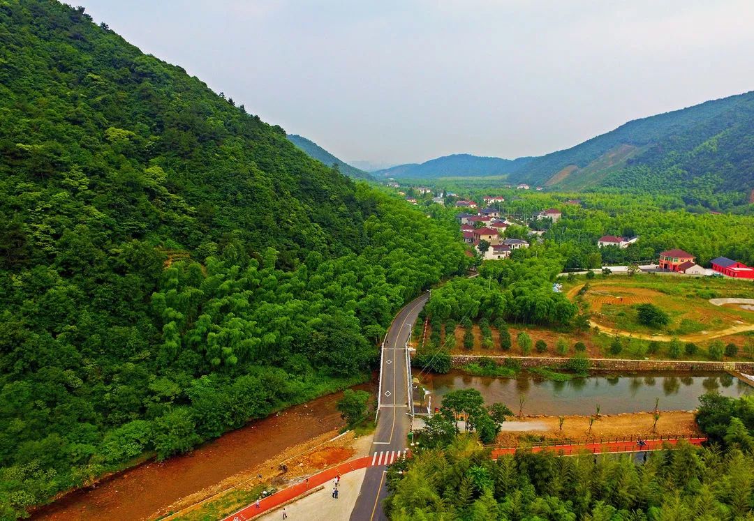 一条乡道,让川步村在乡村振兴路上平步青云