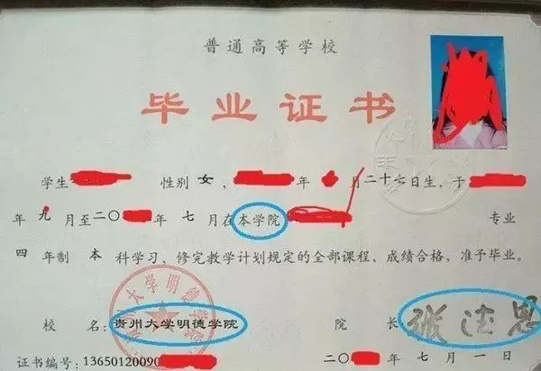 一本还是二本？