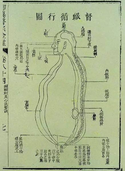 奇经八脉的概念及其生理特点和功用