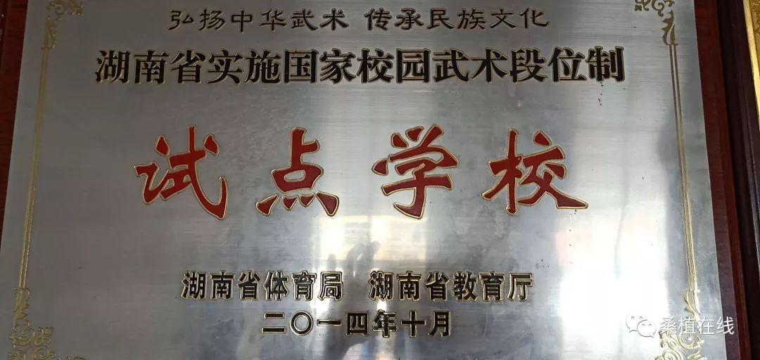 文武招聘网_桑植县民族文武学校招聘优秀教师