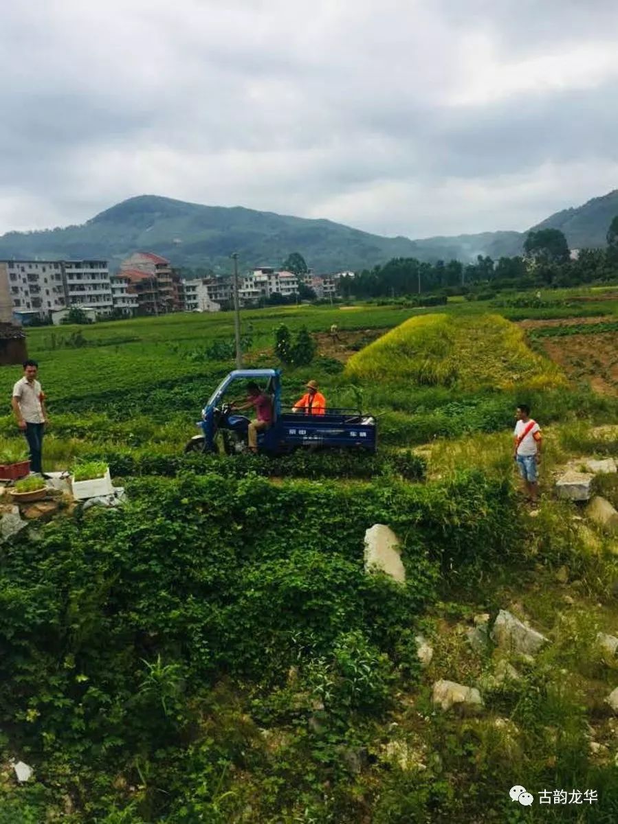 仙游县海滨村人口_仙游县济川村美图