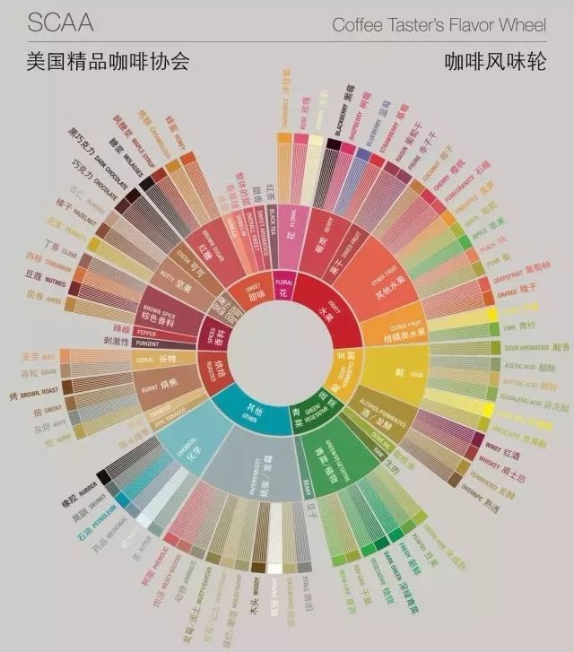 美国精品咖啡协会(scaa) 发布的咖啡风味轮显示: 咖啡具备的酸,香