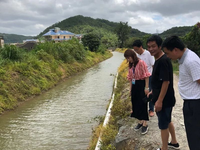 统筹全流域0202建设水生态渔溪镇清渠在行动