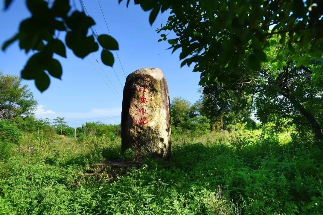 遂溪居住人口_遂溪醒狮