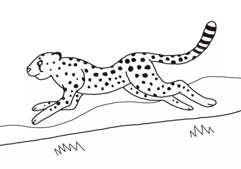 有趣的动物简笔画猎豹与树懒