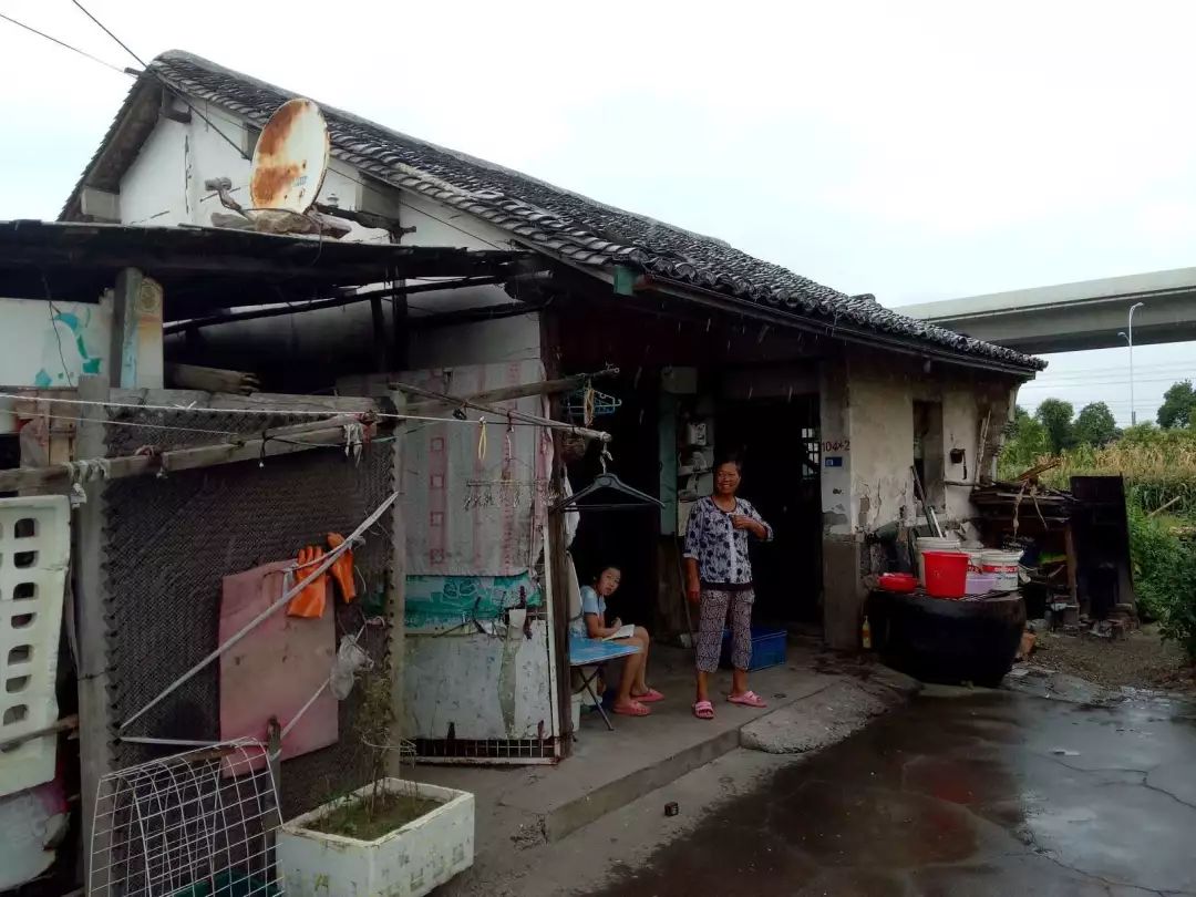 台风"安比"来袭 小曹娥在行动