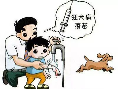 3.正在接种长春长生狂犬疫苗者怎么办?