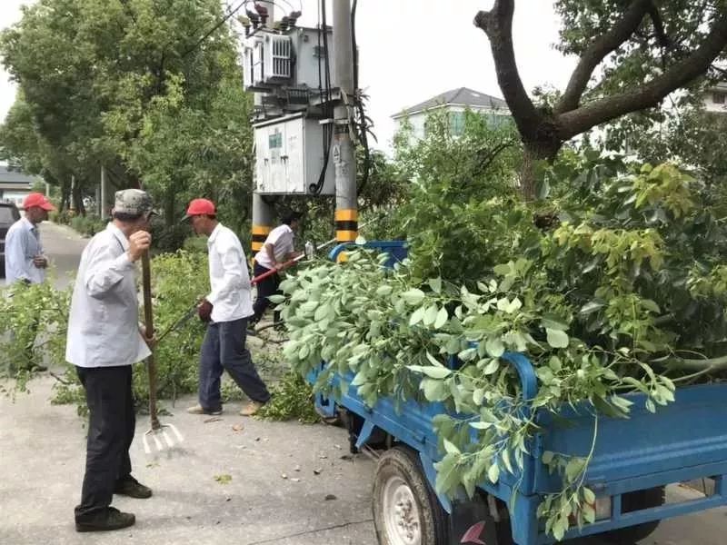 泗门镇多少人口_人口普查(2)