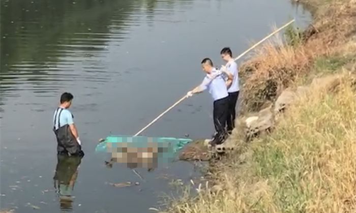 痛惜!丹阳一河道发现一具男性浮尸,已打捞上岸!