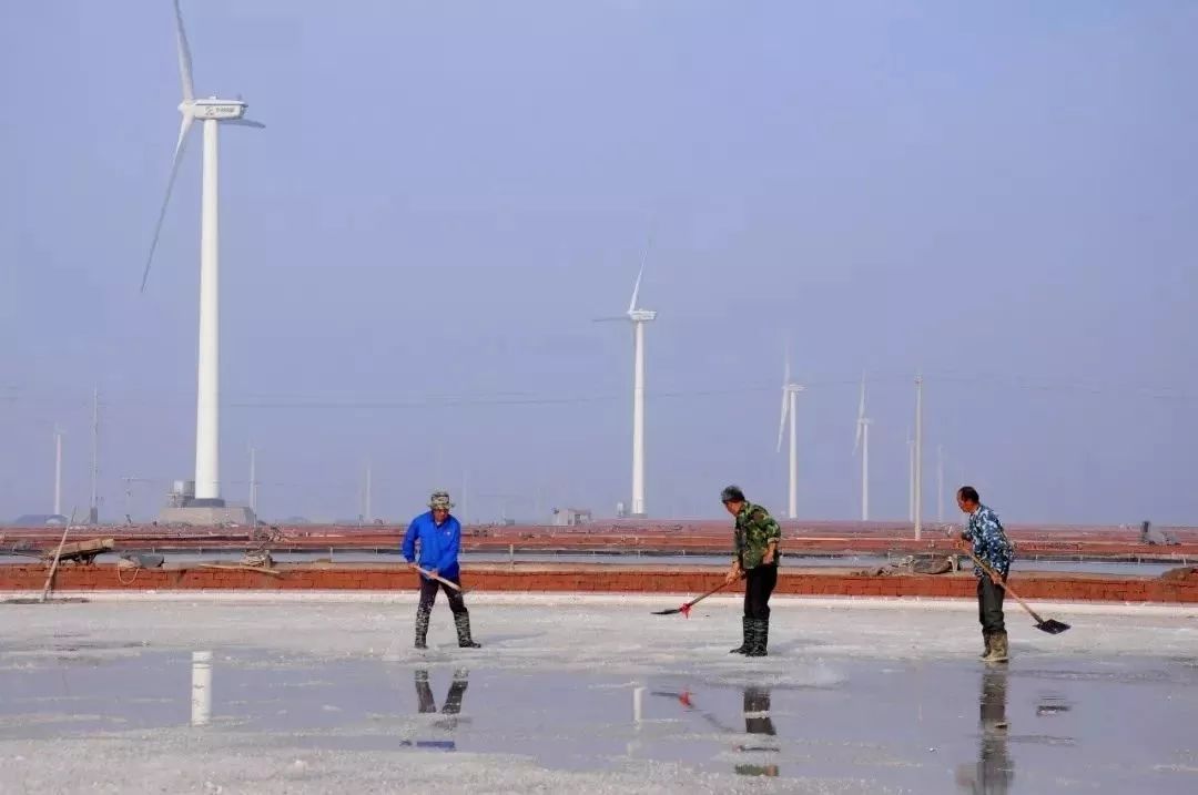 海盐人口分布_海盐蛋糕图片