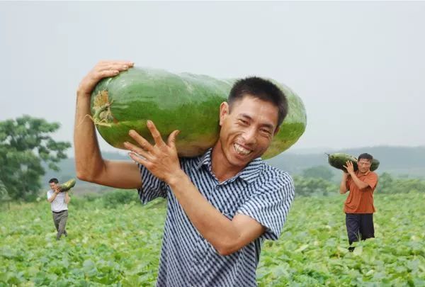 【今日頭條】搞農業賺錢與賠錢的10條生死線！ 科技 第9張