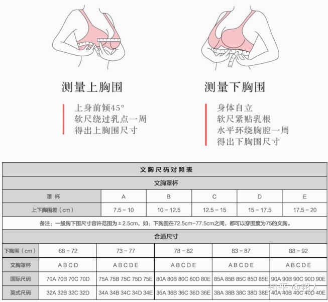 内衣尺码什么意思_尺码对照表uk什么意思(3)