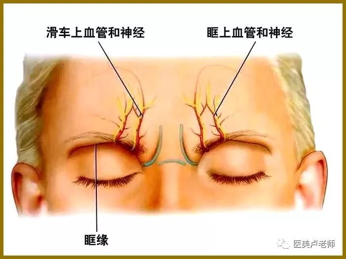 5cm处,开口朝向后外上方,有颏血管和神经通过,是额神经阻滞麻醉之处.