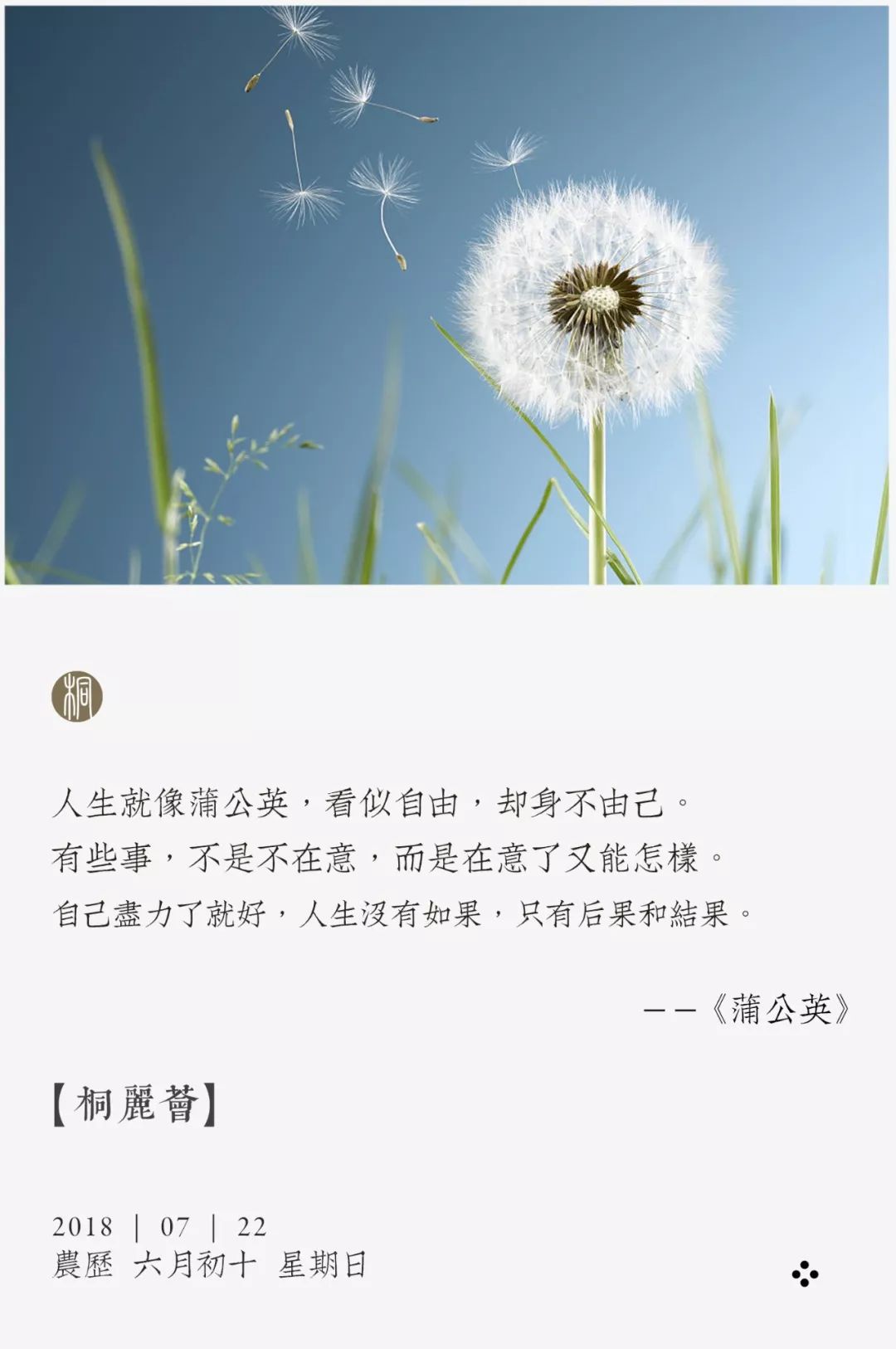 情怀日历 | 蒲公英