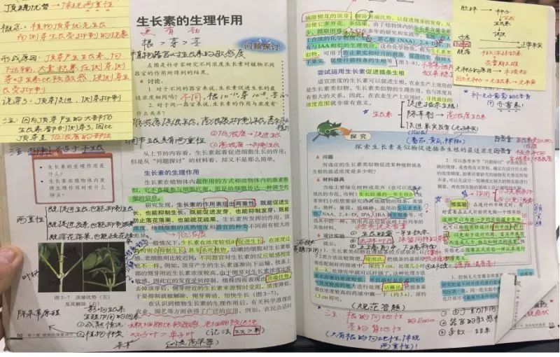 (荧光笔的正确打开方式)