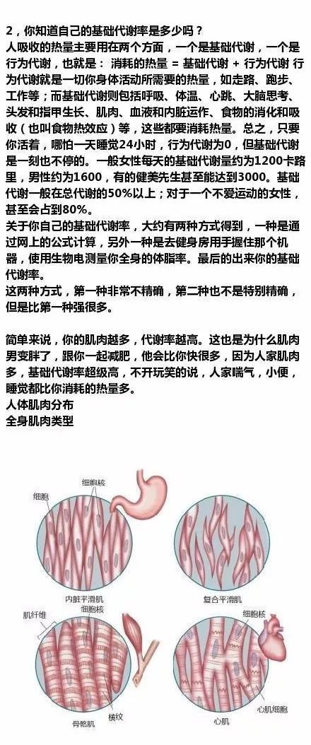 减肥膏什么原理_烫伤膏什么牌子好图片