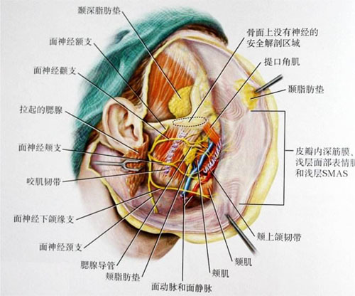 面瘫久治不愈怎么办