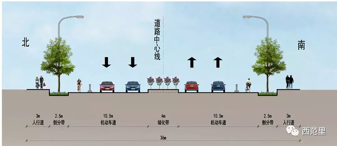 (启运路道路标准横断面图)