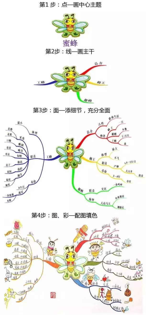 怎样把思维导图用到课堂上?研究了20年的高级教师告诉