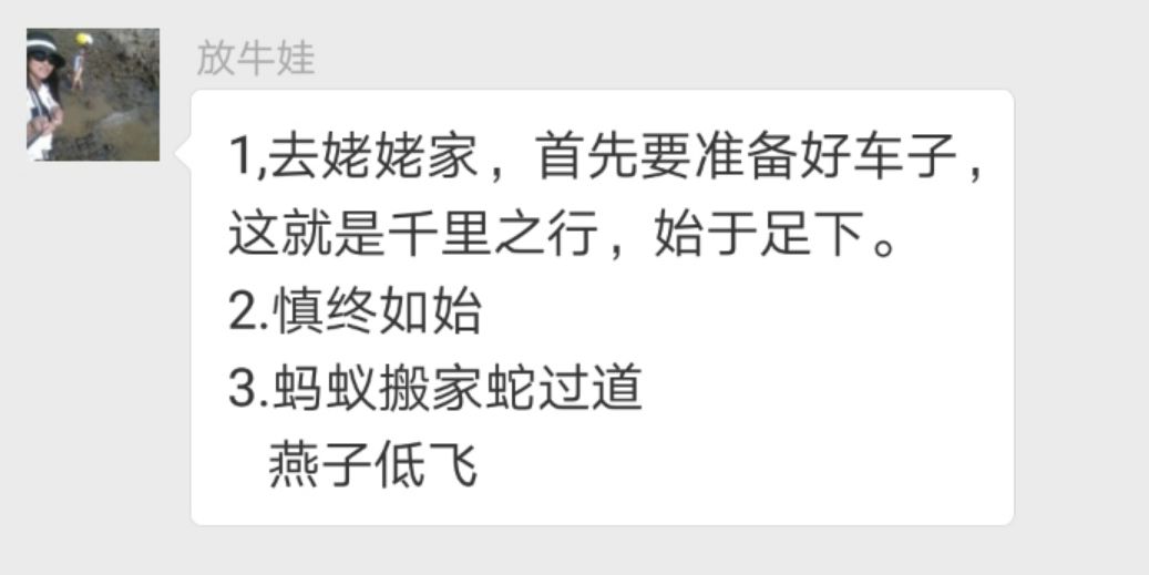 成语什么实践_成语故事图片