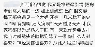 牵衣肘什么成语_什么一线牵成语(2)