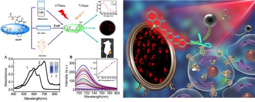 荧光探针靶向炎症和肿瘤成像方面取得系列进展