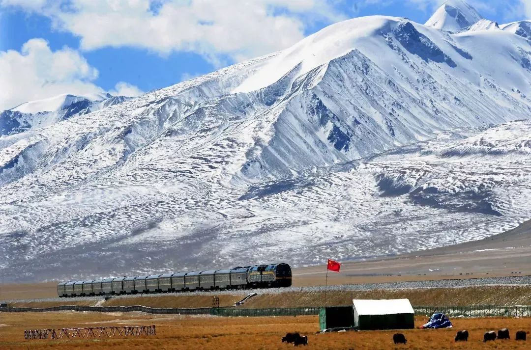 我们称青藏铁路是雪域天路.