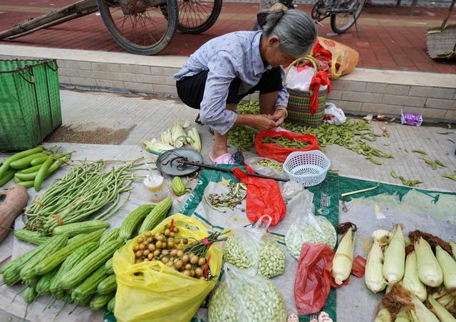 丹霞山集贸市场:那些卖菜的老人,是一生勤劳还是生活