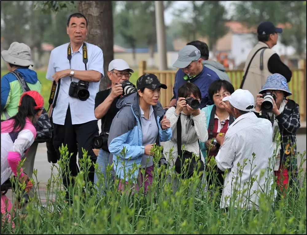 名家聚焦魅力大同61雷平乡间城区寻常日子光影辉映人文情怀