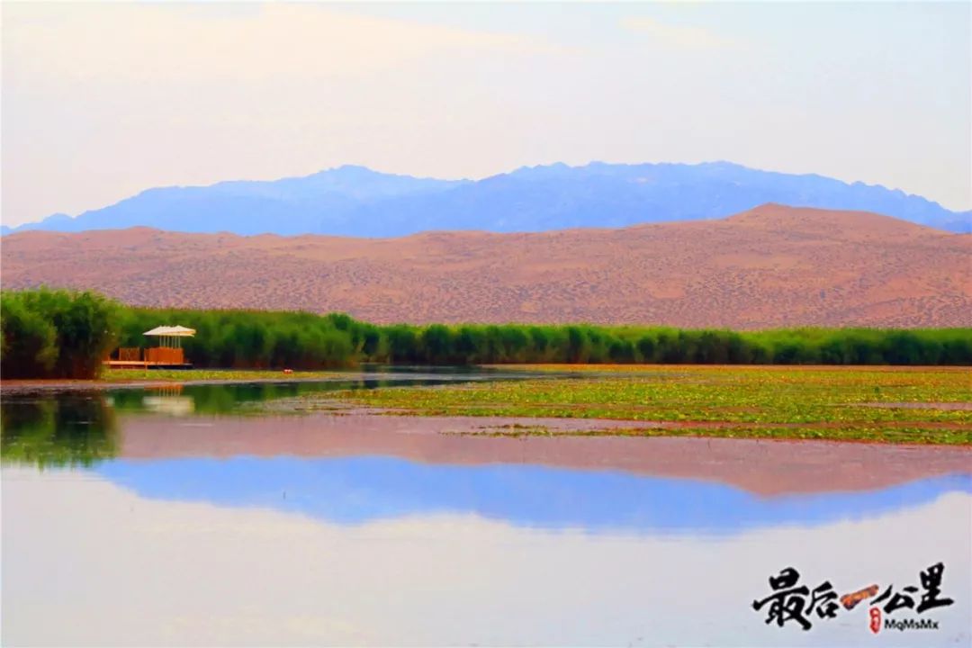 盛夏,博斯腾湖美景怡人 (高清组图)